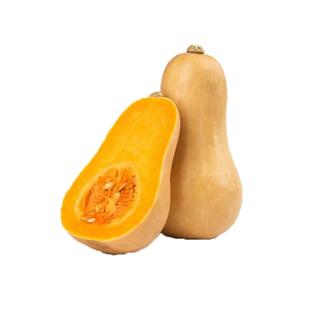 南瓜种子 巨型大南瓜籽 粉皮大冬瓜 黑皮冬瓜 奶油南瓜 蜜本 果蔬