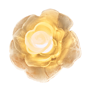 大单LED星星彩灯闪灯串灯满天星太阳能灯串节日婚庆装饰灯玫瑰花