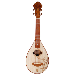 礼乐弦歌红木专业演奏琴正品鸣鸠演奏琴电箱创新民乐小四弦类小阮