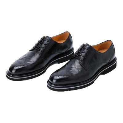 【商场同款】利郎青年商务休闲鞋男2025夏时尚休闲百搭鞋Q5XXL113