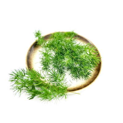 摆盘装饰花草10支新鲜蓬莱松针