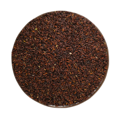 实体店出售药材荆芥种子新芥穗籽发芽好易种植穗大产量高饱满包邮