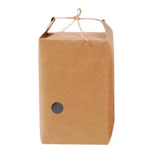 年货节现货加厚内淋膜茶叶袋子牛皮纸袋红色杂粮手提袋大米包装袋