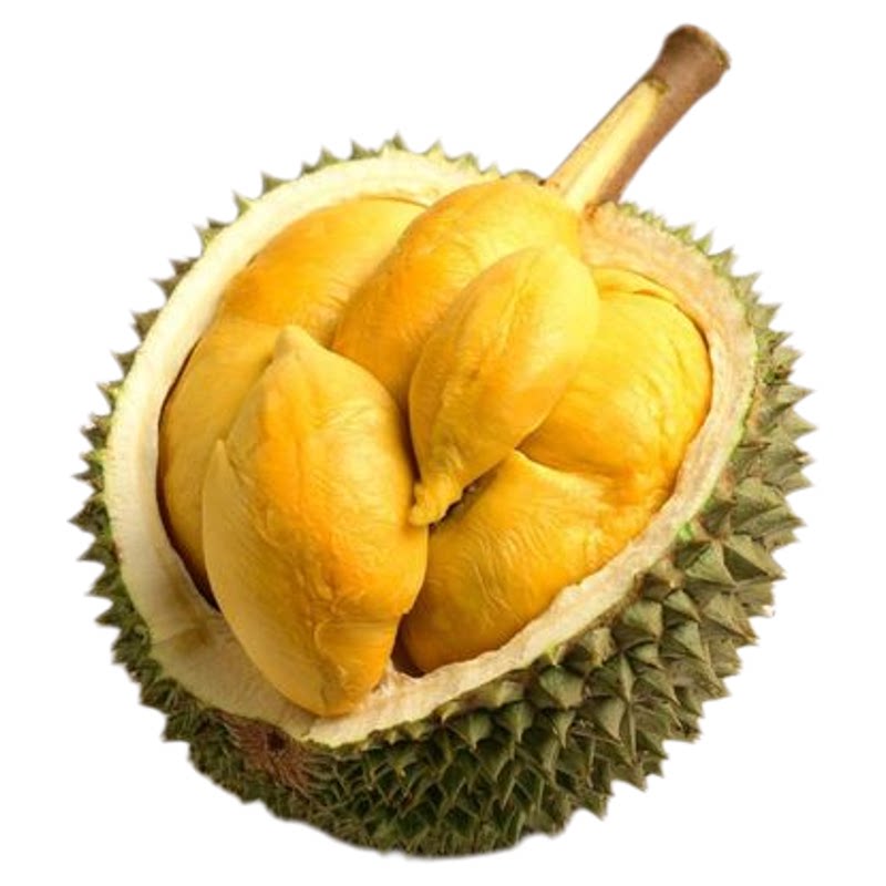 顺丰次日达!现摘黑刺榴莲