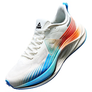 匹克态极骋风2.0跑步鞋男女减震耐磨鞋子青少年运动鞋男款训练鞋