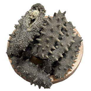 野生半干拉缸盐海参大白刺长岛非纯淡干底播即食大火大连辽刺参