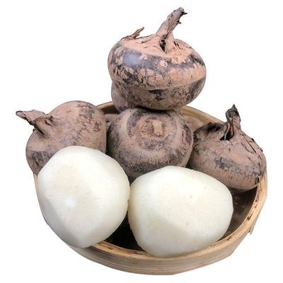 湖北正宗地栗新鲜马蹄带泥大个现挖马蹄荸荠脆甜当季水果蔬菜马蹄