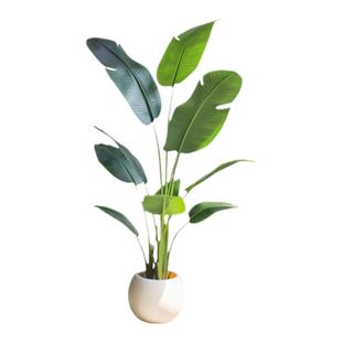 高端仿真绿植假植物旅人蕉轻奢装饰室内盆栽仿生天堂鸟客厅摆件树