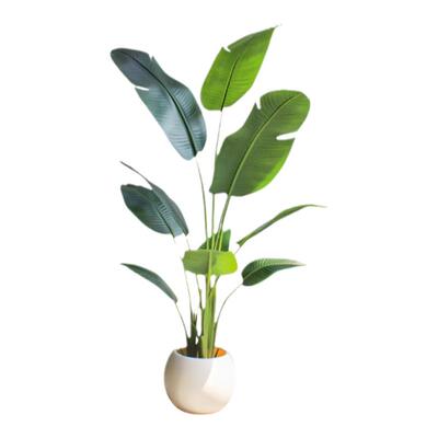 高端仿真旅人蕉天堂鸟经典设计