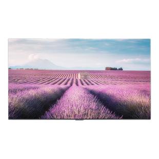 TCL 75V89L 75吋 全通道288Hz 量子点Pro 2025 安桥音响