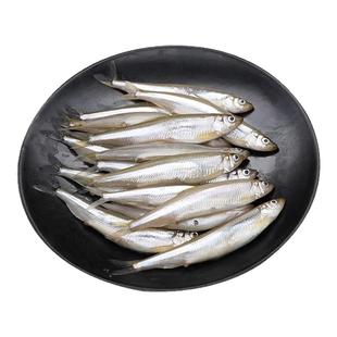 北京密云饮用水源地小公鱼新鲜打捞淡水鱼多春鱼无硬刺老人孩子