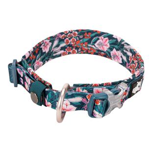 Truelove宠物狗狗项圈狗圈颈圈牵引小中大型犬防勒脖圈TLC5273