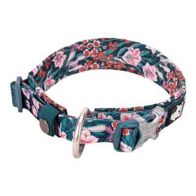 项圈狗圈truelove泰迪大型犬宠物