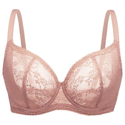 DailyLace大胸显小文胸