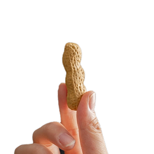 仿真花生砂紫茶宠花生摆件手工可养花生茶玩艺茶茶具功夫茶具配件