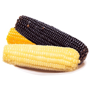 析芮东北新鲜糯玉米棒真空包装黑白黄玉米黏玉米苞米代餐早餐