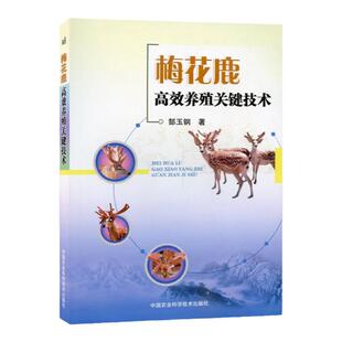 梅花鹿高效养殖关键技术 郜玉钢著 梅花鹿养殖 梅花鹿养殖技术 梅花鹿养殖简单学 梅花鹿的饲养管理以及常见病诊治技术书籍