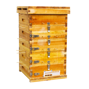 格子箱中蜂 蜜蜂土养杉木蜂箱带竹签全套标准配件板材