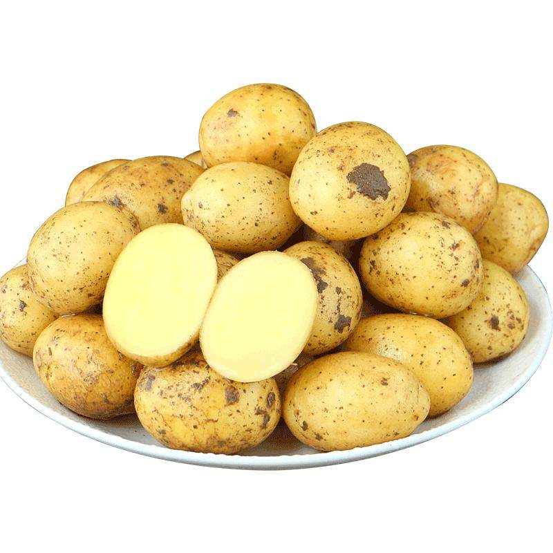 新鲜恩施小土豆【整箱】