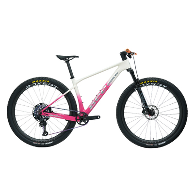 BEEBIKE定制组装9.66kg山地越野