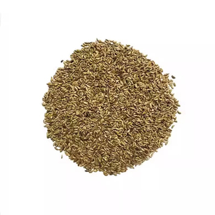 香根草草籽护坡固土牧草种籽野芒草糖蜜草种子孑四季常青耐寒耐旱