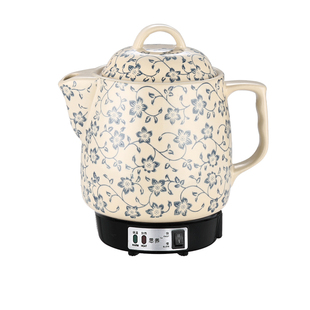 全自动煎药壶家用电煎中药壶大小火熬药煲炖药罐中医电药壶插电