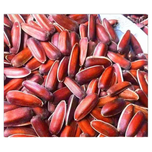 2025新货云南红皮瓜子水果原味生向日葵花籽瓜子坚果休闲食品