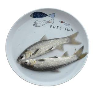 螺蛳青鱼苗【拒绝假苗】淡水养殖四大家鱼黑皖灰草鱼苗螺丝青鱼苗