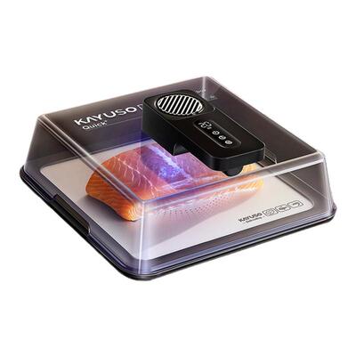 KAYUSO厨房食材解冻去腥回鲜器