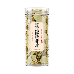 特级银杏叶茶新鲜中草药材当季新货产地直销正品官方旗舰店的功效