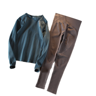 圆领长袖瑜伽服套装女秋冬季弹力修身速干上衣时尚紧身健身房跑步