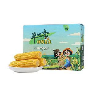【一箱12根】内蒙古半饱斋糯玉米新鲜甜糯玉米糖苞米半饱斋玉米