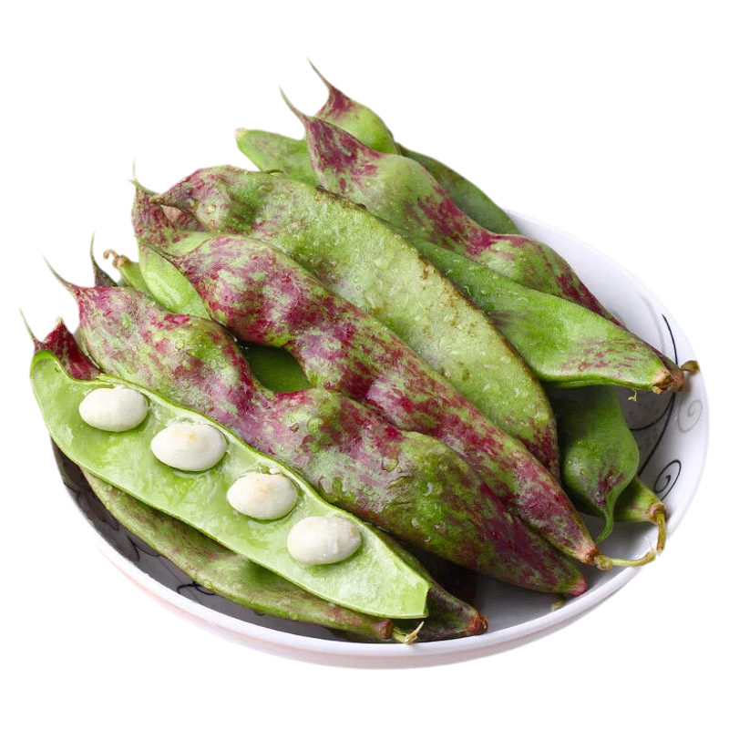 【东北新鲜油豆角】已上热销榜！