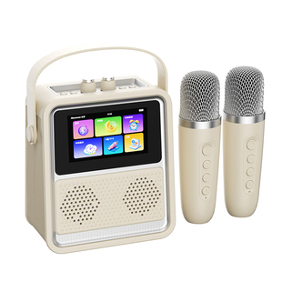 纽曼KK800歌词音响家用k歌麦克风话筒一体户外蓝牙音箱【26年新款