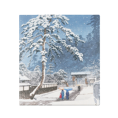 独家新款掌阅Ocean5磁吸保护套