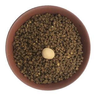 西蜀堂手工亮羽保色靛颏鸟食叶鹎白腹幽鹛嗜虫鸟鸟食提升大唱饲料