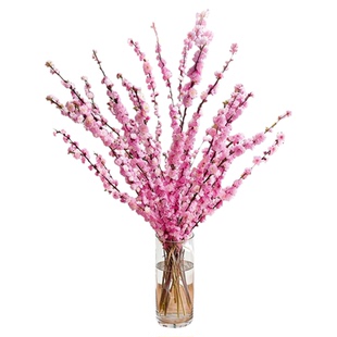 鲜花珍珠李樱花树雪柳鲜枝水培植物桃花卉室内家用插花水养干枝花