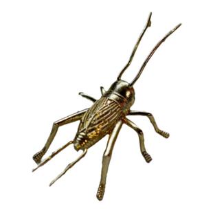 实心纯铜蟋蟀蛐蛐摆件黄铜蚂蚱飞黄腾达蝗虫茶宠昆虫童趣个性收藏