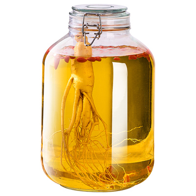 泡酒玻璃瓶高档密封酒坛子储存酒容器20斤人参药酒罐专用酒瓶空瓶