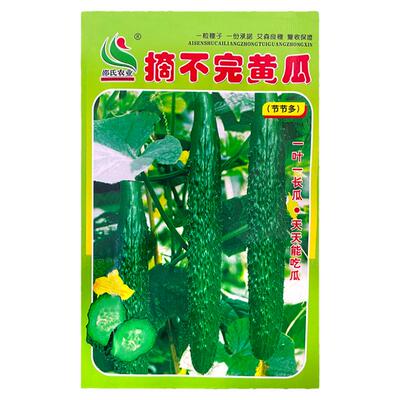 蔬菜耐热密刺短把春夏黄瓜种子