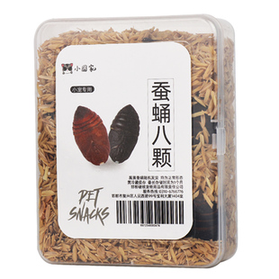 仓鼠零食蜜袋鼯蚕蛹花枝鼠蛋白粮食松鼠蜜袋鼬松鼠榨蚕蝉蛹用品