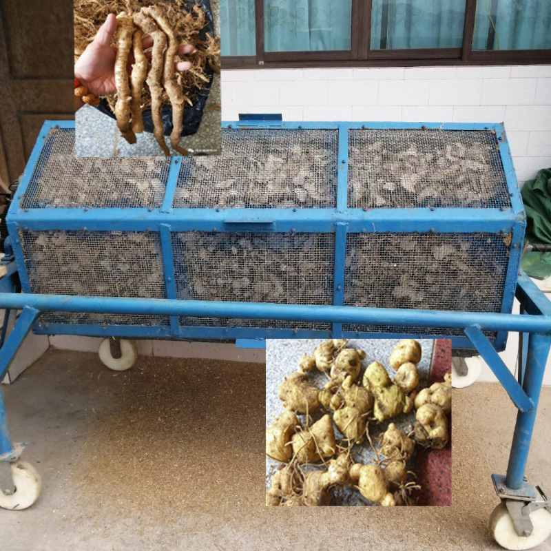 骨碎朴玉竹黄精白芨射干金樱子脱毛机金荞麦脱毛机清洗滚筒筛直销