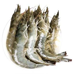 2030盐冻大虾鲜活超大青虾速冻整箱基围虾海虾类新鲜青岛特大水产
