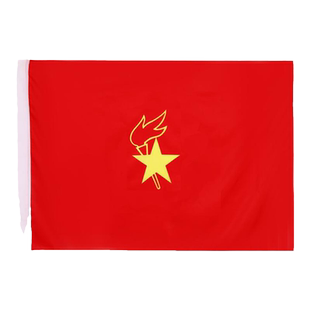少先队队旗大队旗手持中国少年先锋队手拿小学生少先队员队旗中队旗小队旗旗帜队旗大号120*90cm春亚纺