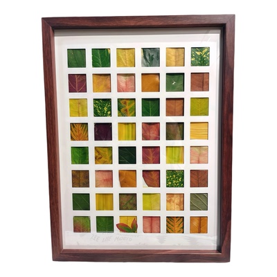 落叶树叶标本相框手工diy