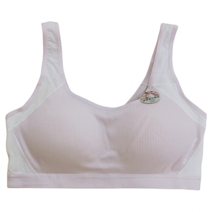 香蜜闺秀26112029新款无钢圈健康绵固定胸垫少女文胸三阶段