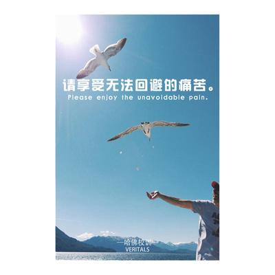 哈佛校训学生励志标语海报贴画