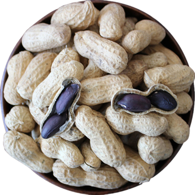 正宗新货大小粒黑花生米带壳生的原味种籽500g晒干山东黑皮富含硒