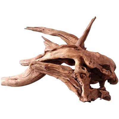 30CM小缸沉木乌龟晒台紫柚木秒沉