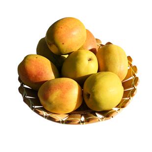 酸木瓜包邮云南新鲜临沧特产酸水果孕妇野生泡酒青木瓜酸脆